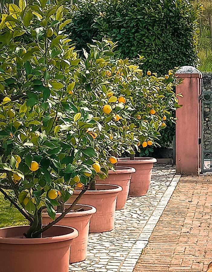 Casa Vacanze Monte Villa Pieve di Soligo Exteriör bild